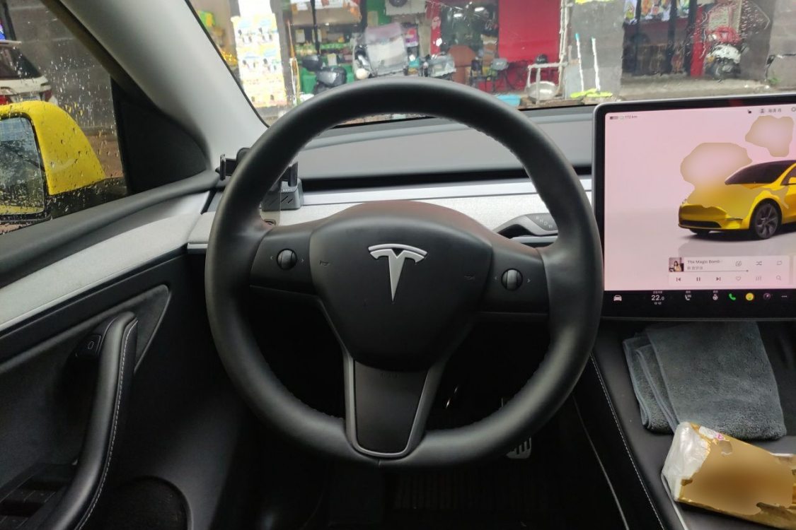 Tesla Model Y 2024 صورة سيارة #22