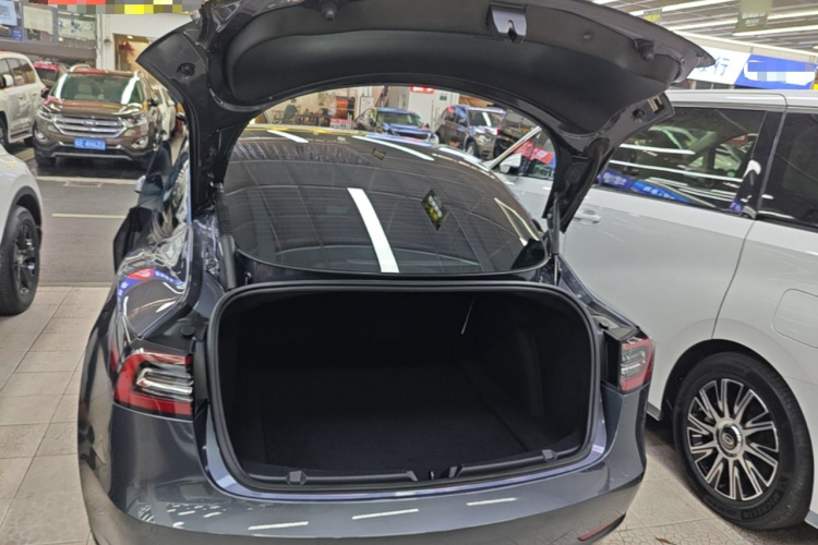 Tesla Model 3 2021 car image #19