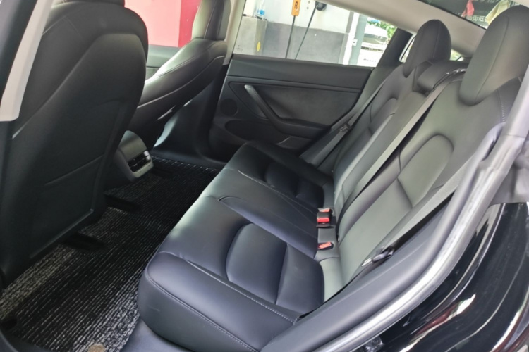 Tesla Model 3 2022 #17 Tesla Model 3 2022 car image #17