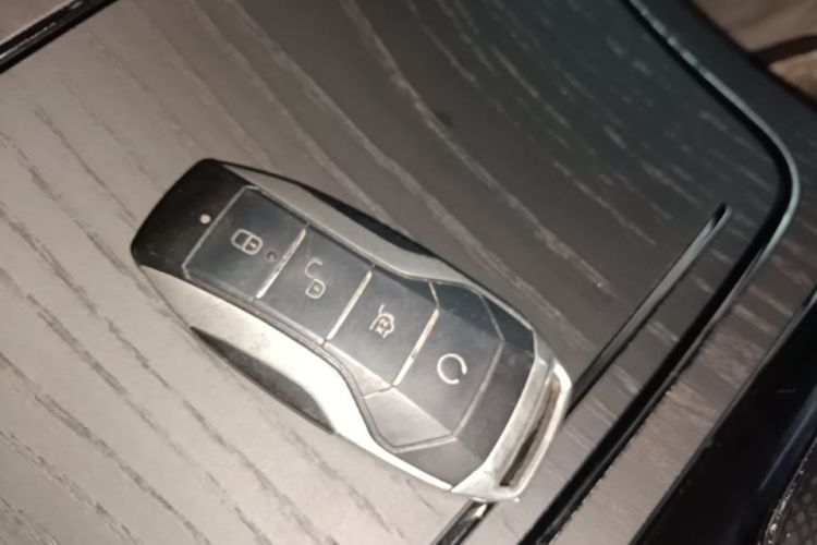 BYD Han 2021 car image #14