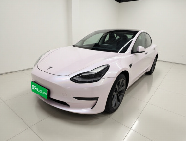 Tesla Model 3 2023 Tesla Model 3 2023 car image