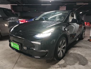 Tesla Model Y 2022 immagine di auto 