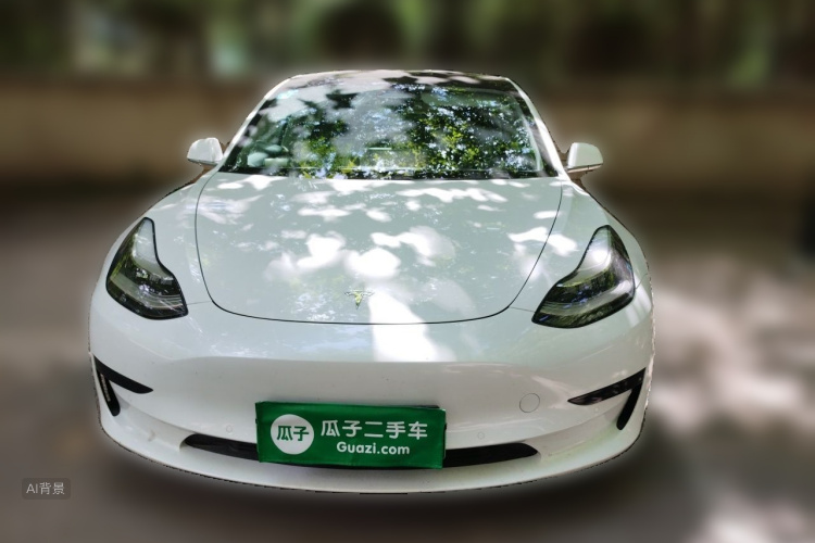 Tesla Model 3 2020 immagine di auto #3
