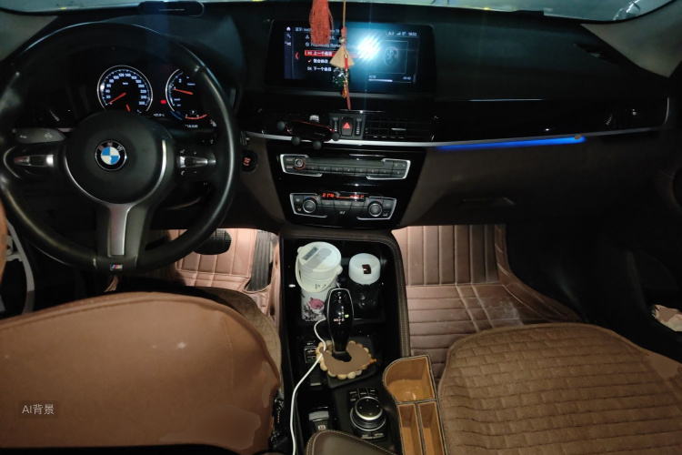 BMW X1 2020 car image #11