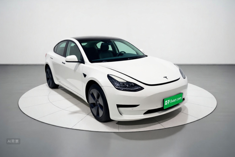 Tesla Model 3 2022 car image #4