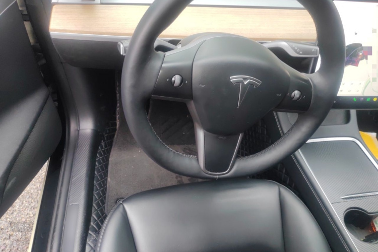 Tesla Model 3 2021 car image #12