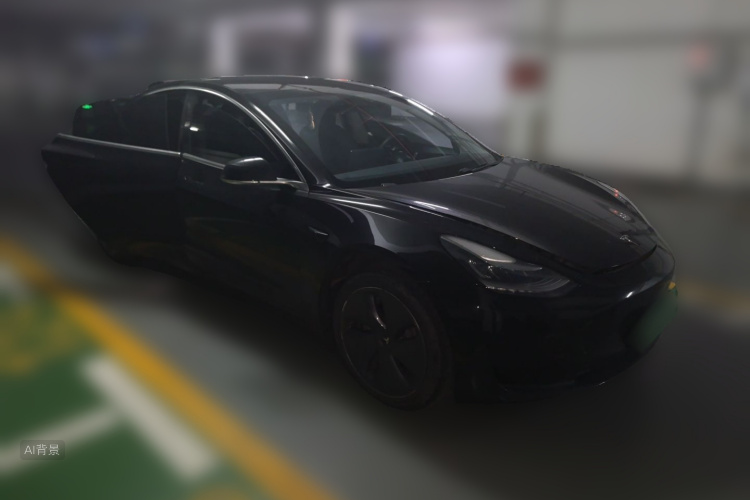 Tesla Model 3 2020 car image #4