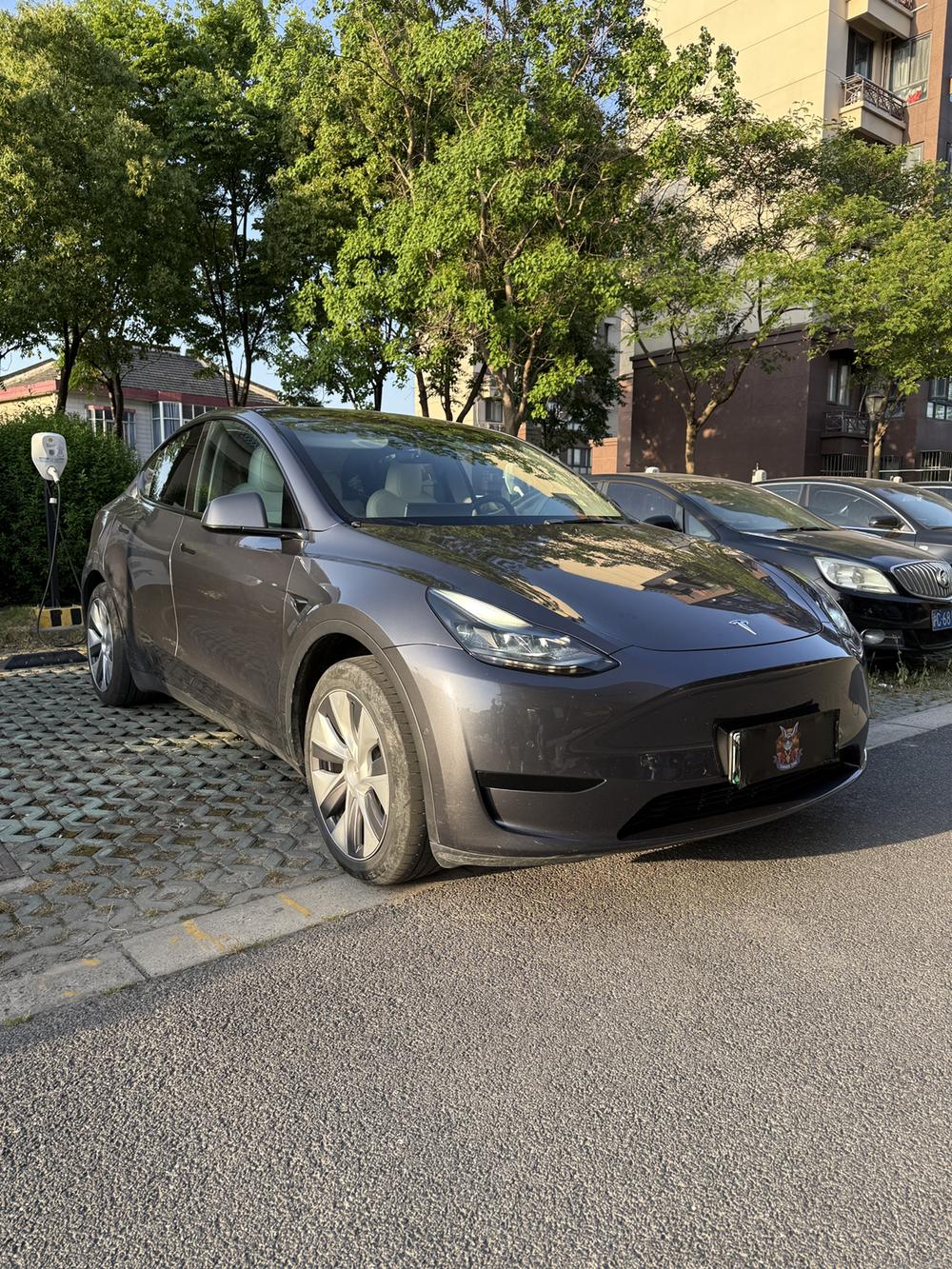 Tesla Model Y 2023 #3 Tesla Model Y 2023 car image #3