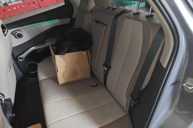 BYD Yuan Plus 2023 car image #19