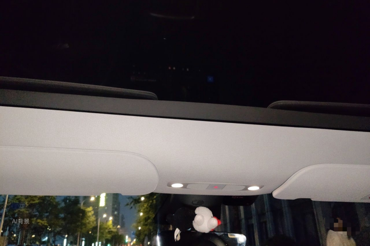 Tesla Model Y 2021 car image #20