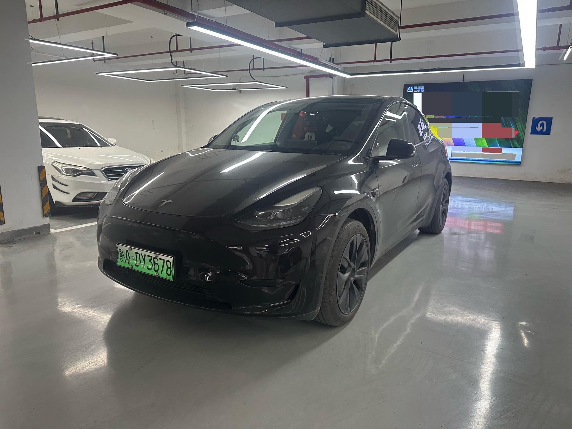 Tesla Model Y 2024 Tesla Model Y 2024 car image