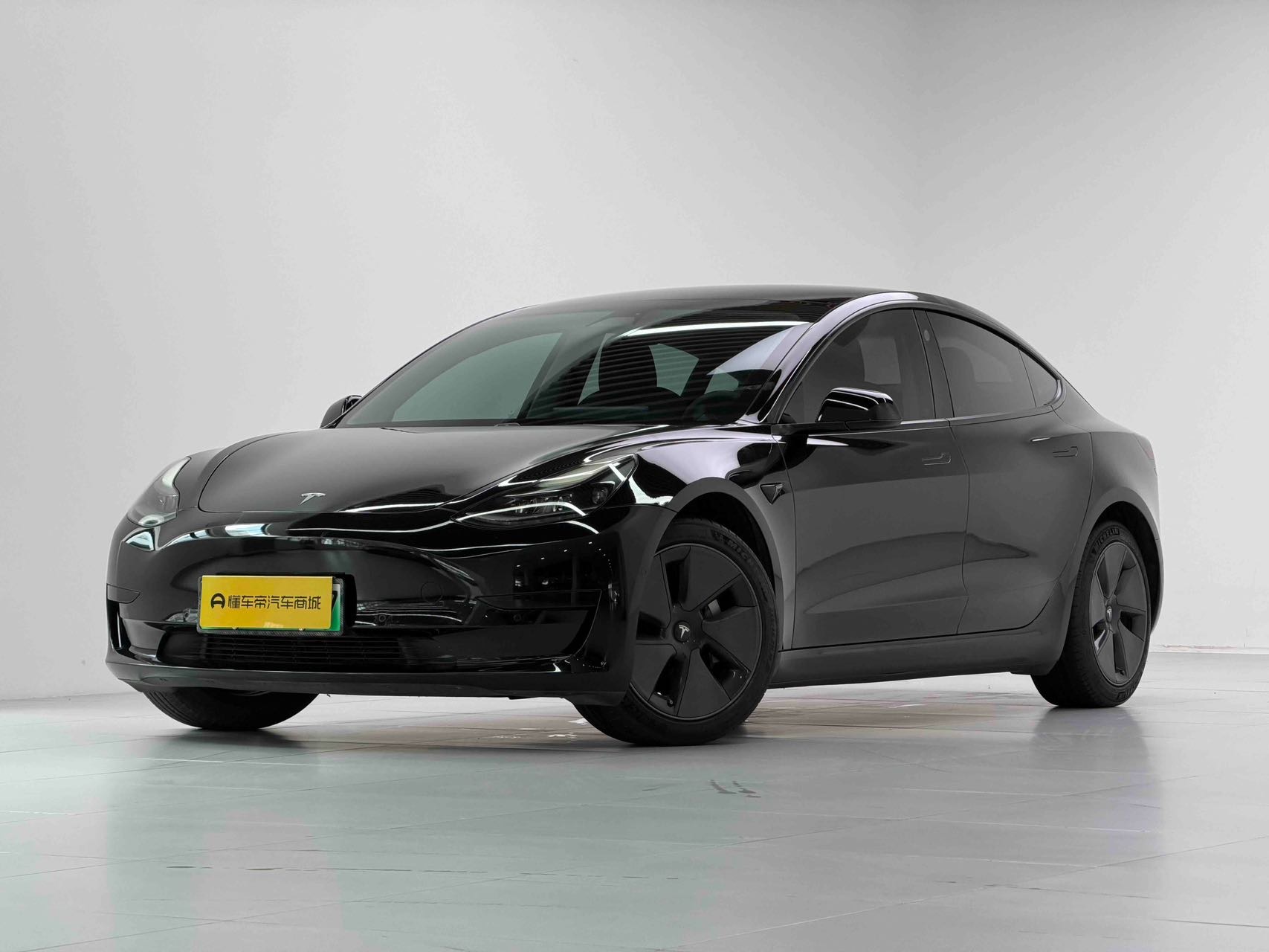 Tesla Model 3 2021 Tesla Model 3 2021 car image