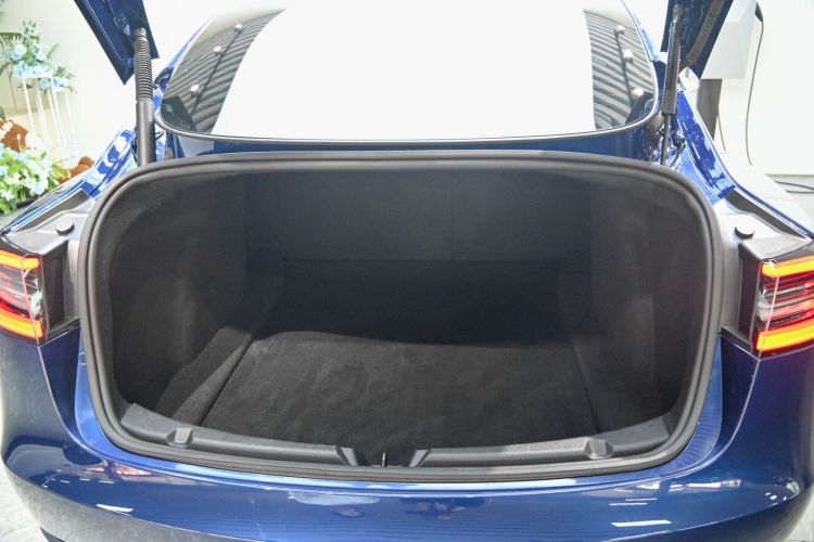 Tesla Model 3 2021 #19 Tesla Model 3 2021 car image #19