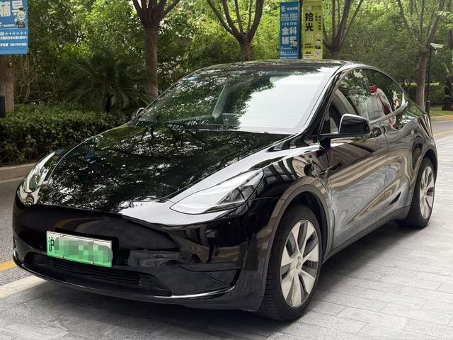 Tesla Model Y 2023 car image #18
