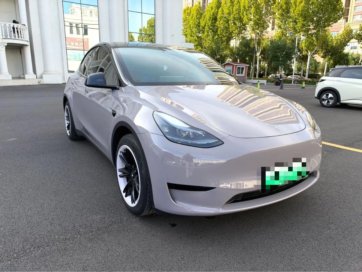 Tesla Model Y 2024 #2 Tesla Model Y 2024 صورة سيارة #2