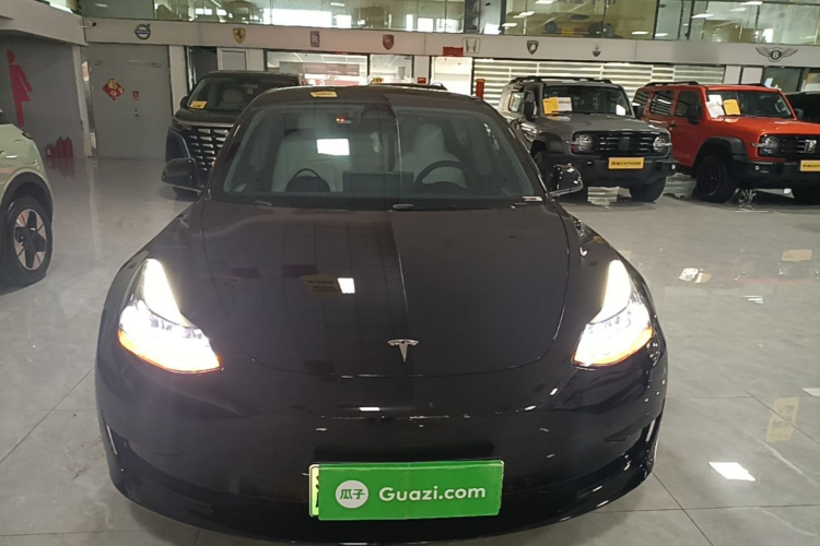Tesla Model 3 2023 car image #3