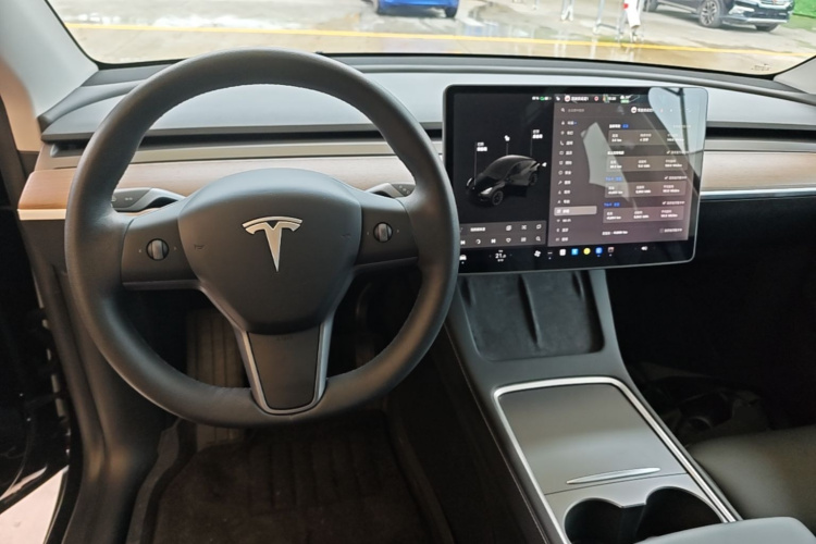 Tesla Model Y 2021 #10 Tesla Model Y 2021 car image #10