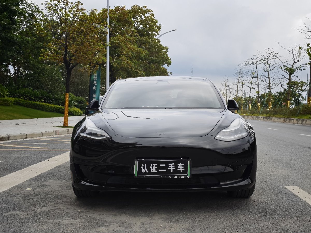 Tesla Model 3 2020 #2 Tesla Model 3 2020 car image #2