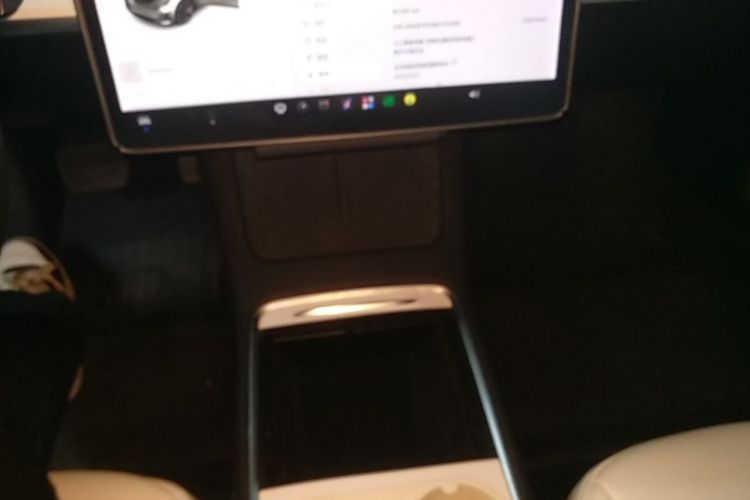 Tesla Model 3 2021 car image #14
