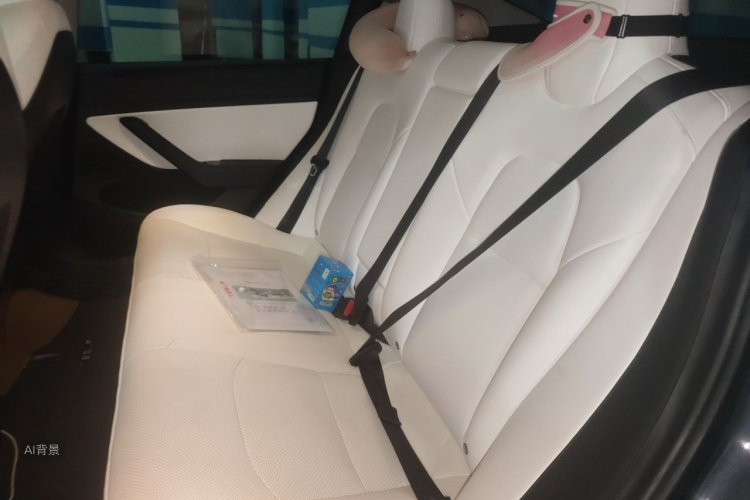 Tesla Model 3 2020 immagine di auto #19