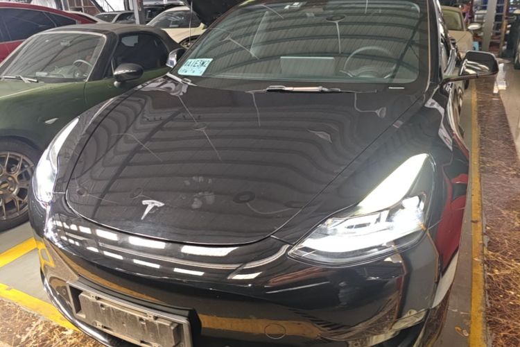 Tesla Model 3 2022 #3 Tesla Model 3 2022 car image #3