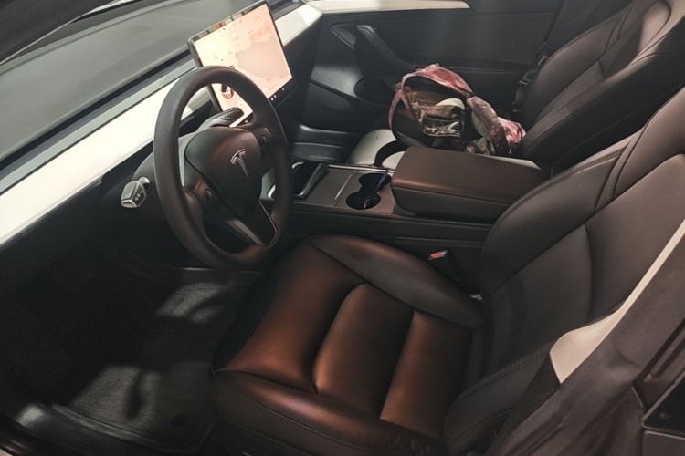 Tesla Model 3 2022 car image #15