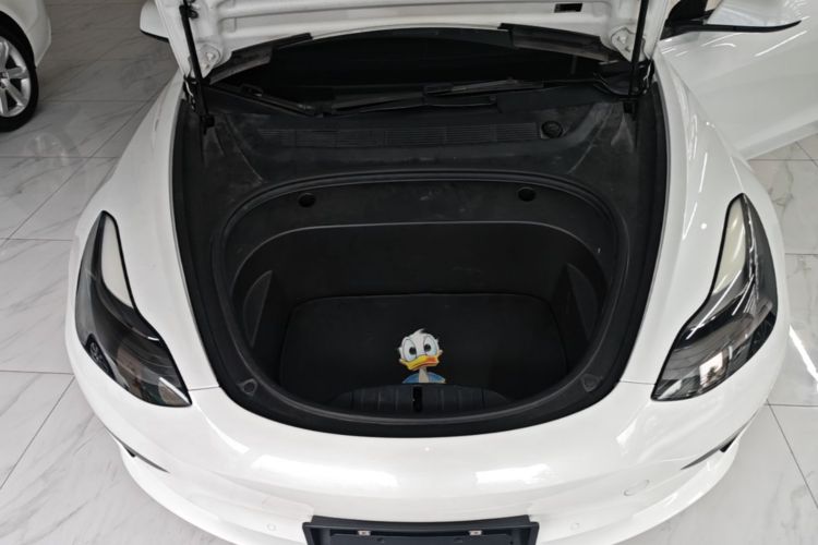 Tesla Model 3 2021 #20 Tesla Model 3 2021 car image #20