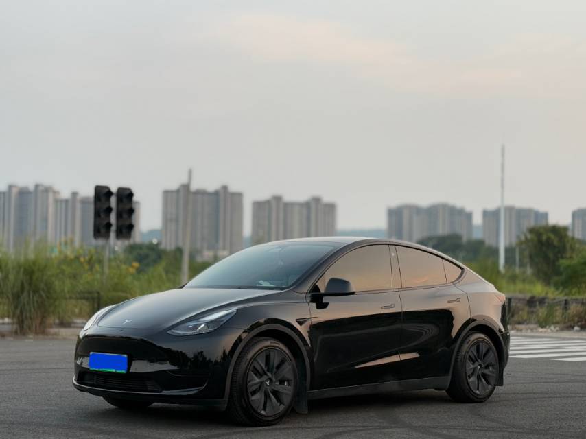 Tesla Model Y 2022 car image 