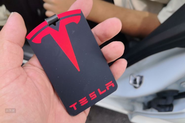 Tesla Model 3 2022 #10 Tesla Model 3 2022 car image #10