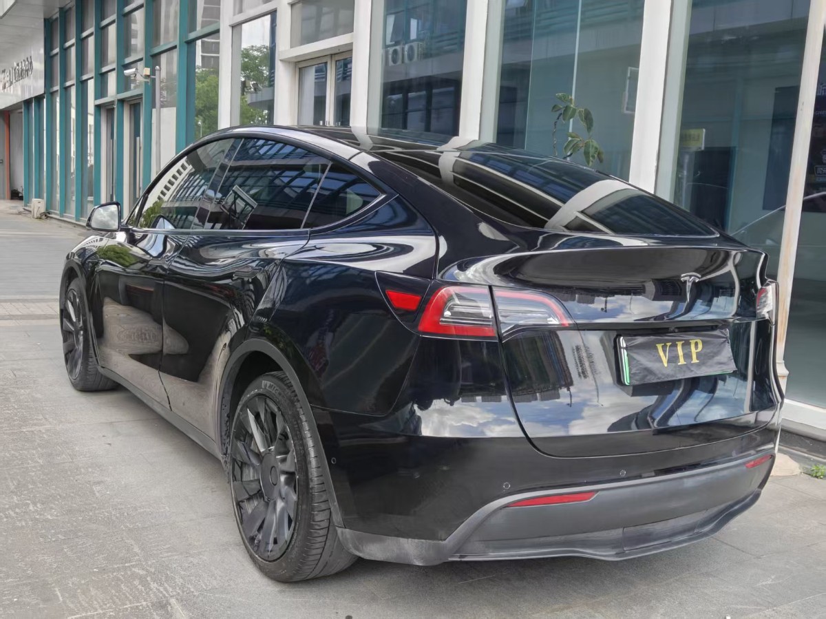 Tesla Model Y 2021 car image #10