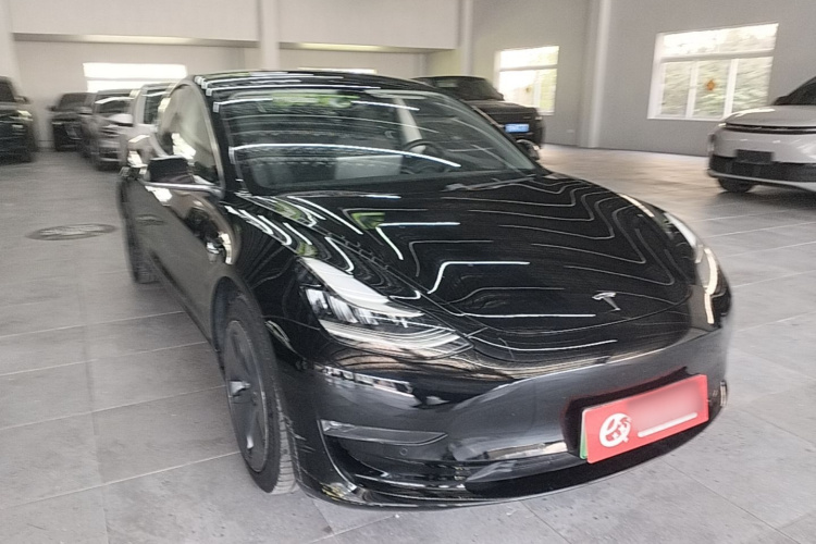 Tesla Model 3 2020 immagine di auto #4
