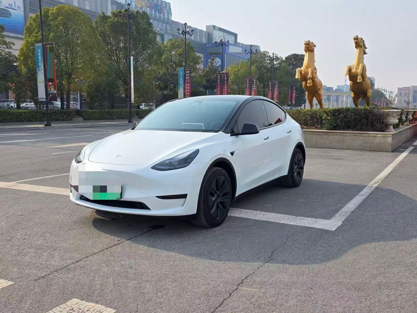Tesla Model Y 2024 Tesla Model Y 2024 car image