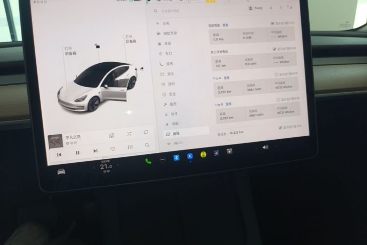 Tesla Model 3 2021 #13 Tesla Model 3 2021 car image #13