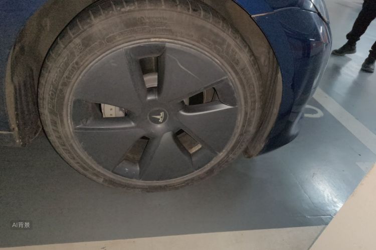 Tesla Model 3 2021 car image #9
