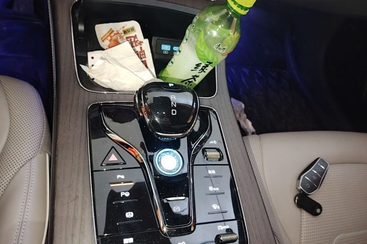 BYD Han 2024 car image #14