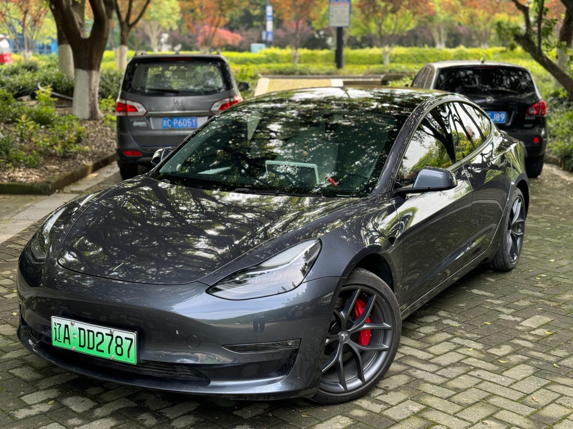 Tesla Model 3 2022 Tesla Model 3 2022 car image
