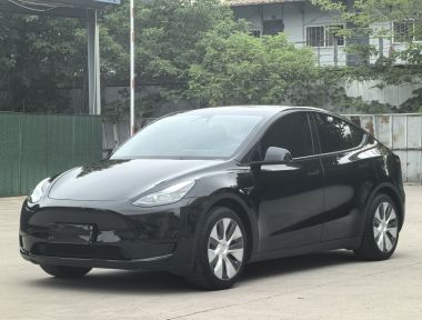 Tesla Model Y 2023 car image 