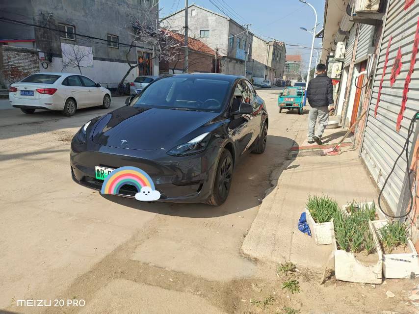 Tesla Model Y 2025 car image 
