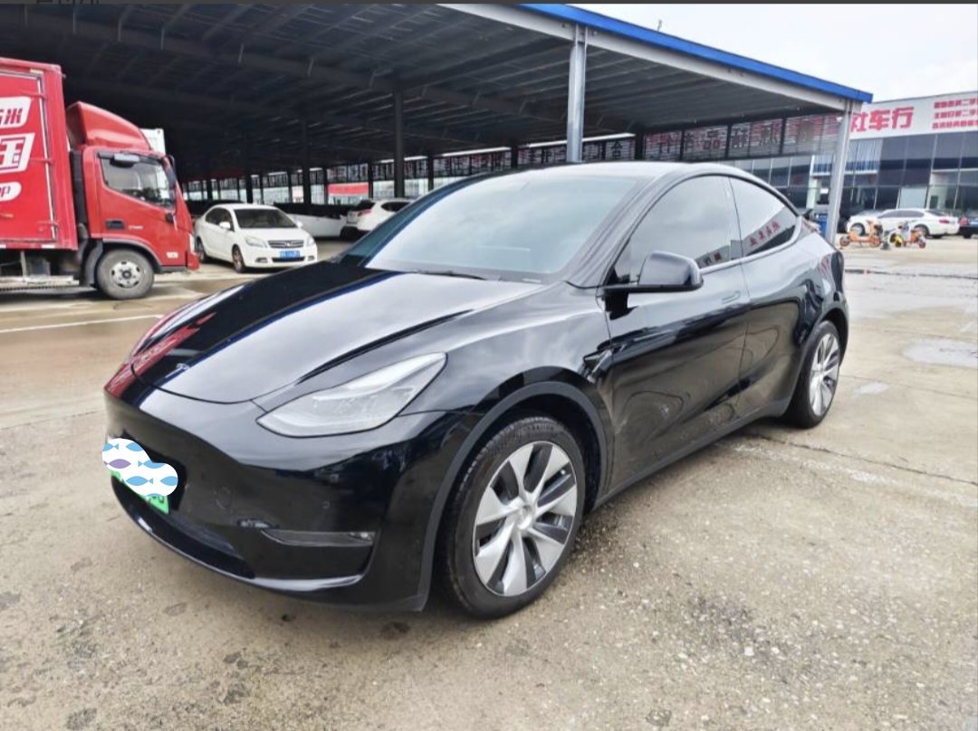 Tesla Model Y 2021 Tesla Model Y 2021 car image