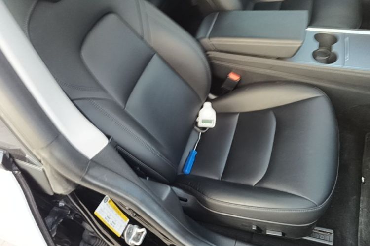 Tesla Model 3 2022 #24 Tesla Model 3 2022 car image #24