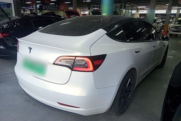 Tesla Model 3 2021 car image #7