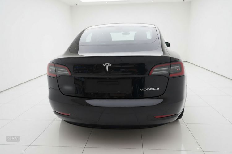 Tesla Model 3 2021 car image #6