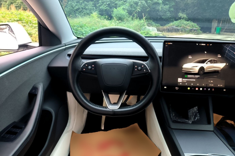 Tesla Model 3 2024 изображение автомобиля #11