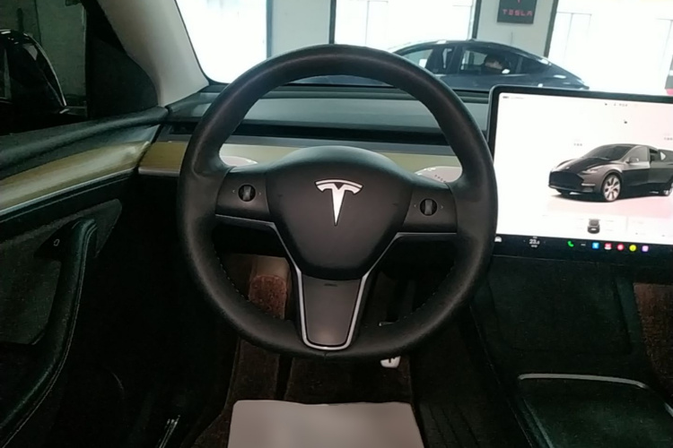 Tesla Model Y 2023 car image #15