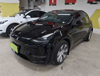 Tesla Model Y 2021 Tesla Model Y 2021 car image