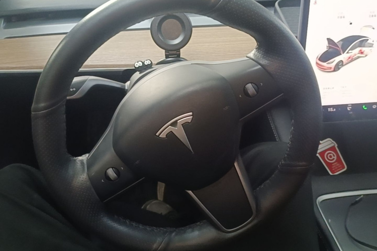 Tesla Model 3 2021 #11 Tesla Model 3 2021 car image #11