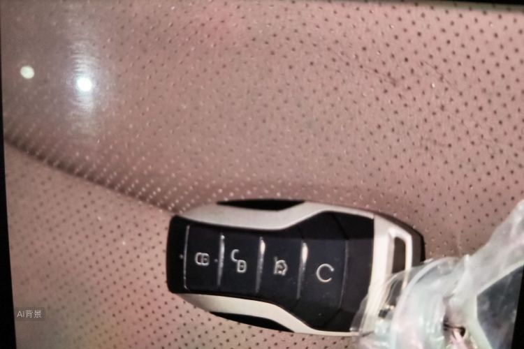 BYD Han 2020 immagine di auto #10