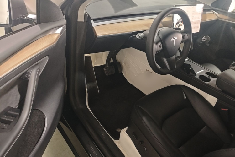 Tesla Model Y 2021 car image #16