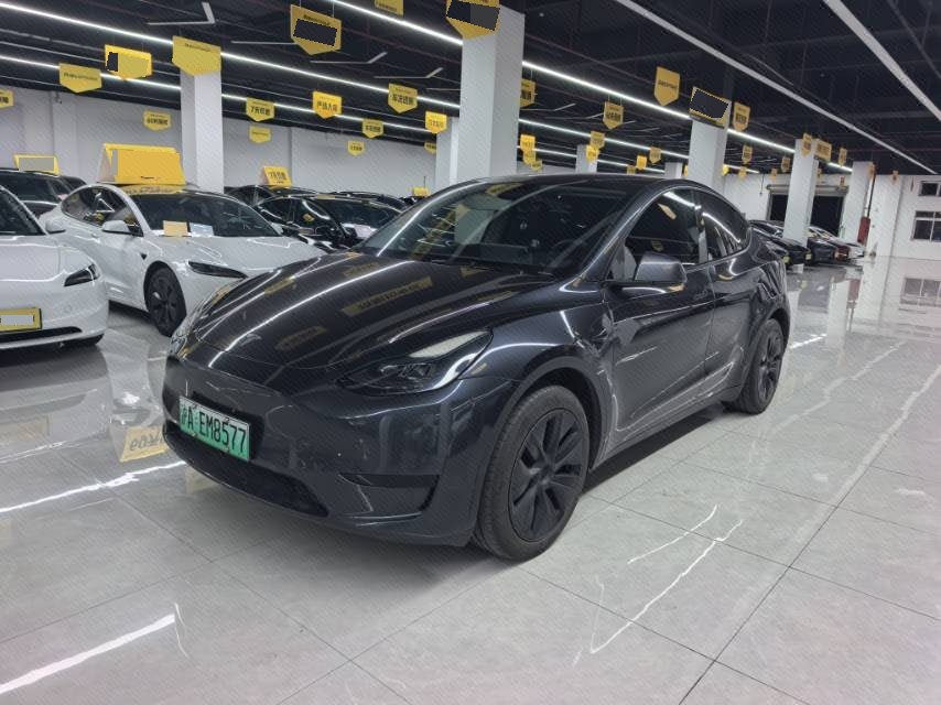 Tesla Model Y 2024 Tesla Model Y 2024 car image