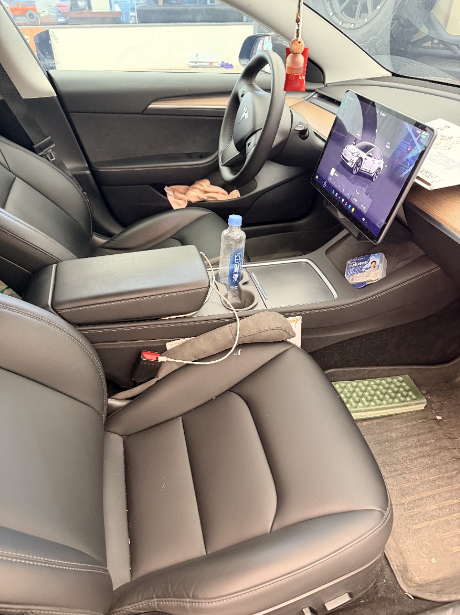 Tesla Model 3 2023 #2 Tesla Model 3 2023 car image #2